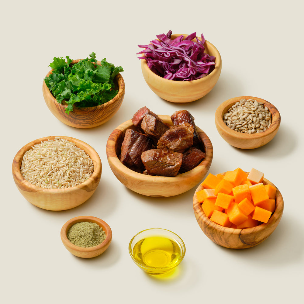 Organic dog food ingredients: Beef Garden Medley featuring organic beef, butternut squash, brown rice, cabbage, kale, olive oil, sunflower seeds, and flaxseed oil to support healthy digestion, arranged in natural wood bowls