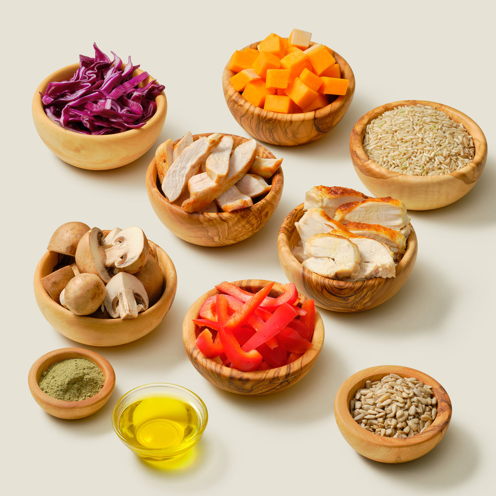 Organic dog food ingredients: Turkey & Chicken Medley with organic turkey, chicken, butternut squash, brown rice, cabbage, mushrooms, sweet pepper, sunflower seeds, and flaxseed oil for balanced nutrition, arranged in natural wood bowls