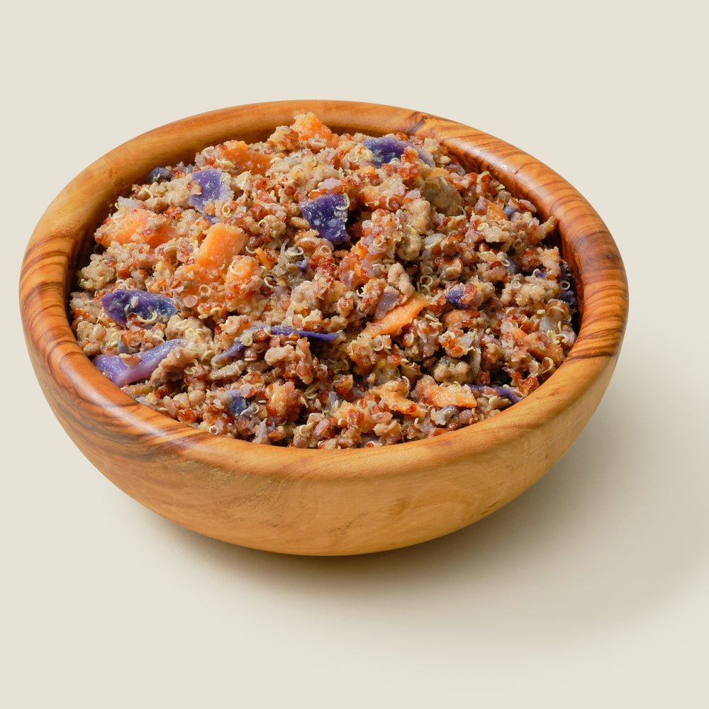 
                  
                    Grain-free organic dog food: Organic Regal Lamb featuring organic lamb, sweet potato, quinoa, cabbage, and kale for healthy digestion in a natural bowl
                  
                